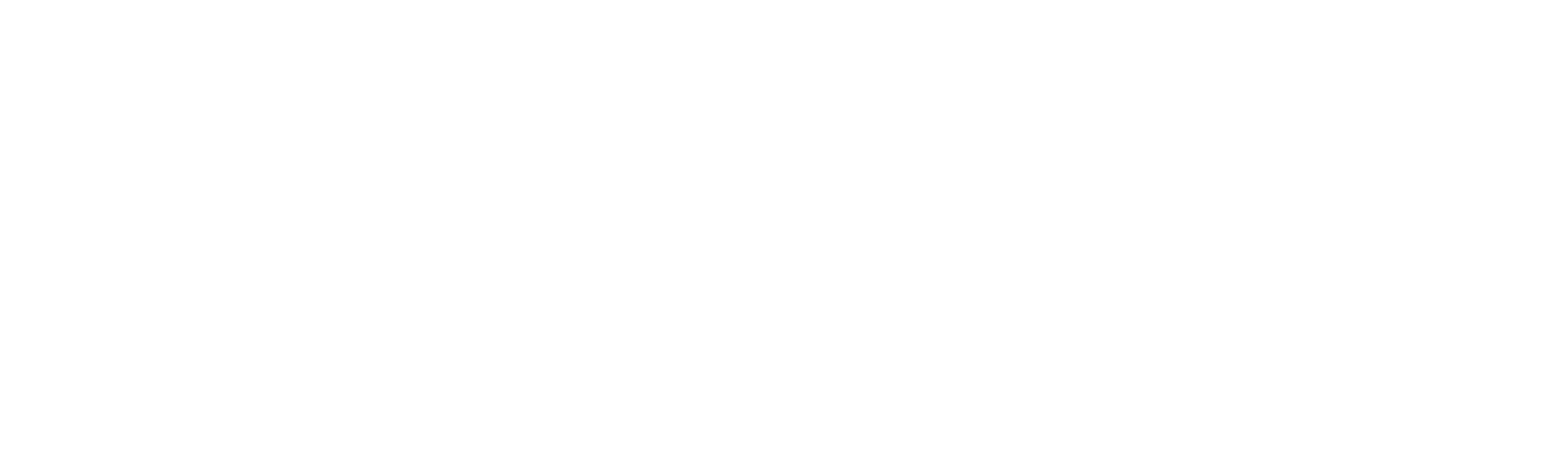 BBQ USA