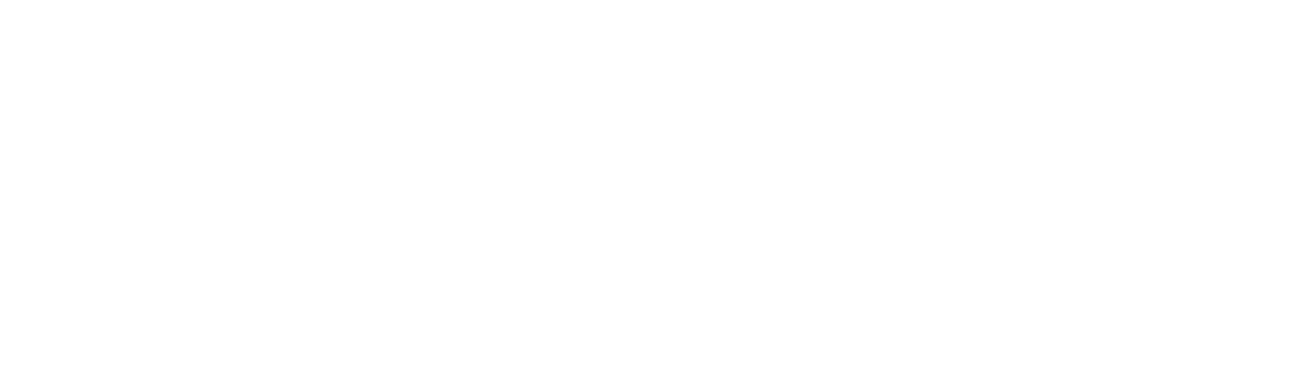 Todo en 90 días: Steven y Olga