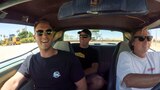Road Trip Adventures With Wiley!