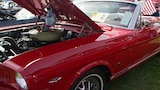 A Carography: Mustang