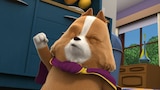 Commander Kibbles