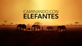 Caminando con elefantes