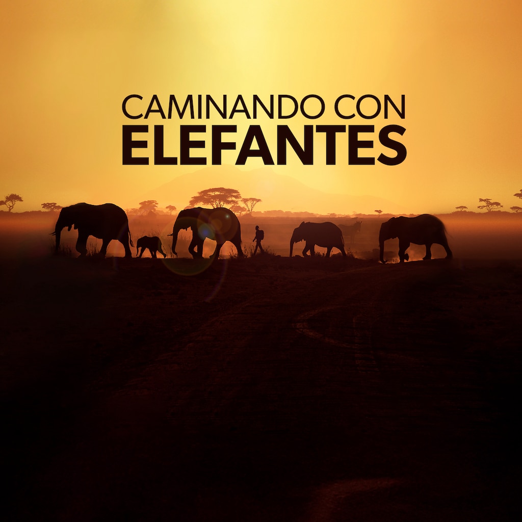 Caminando con elefantes