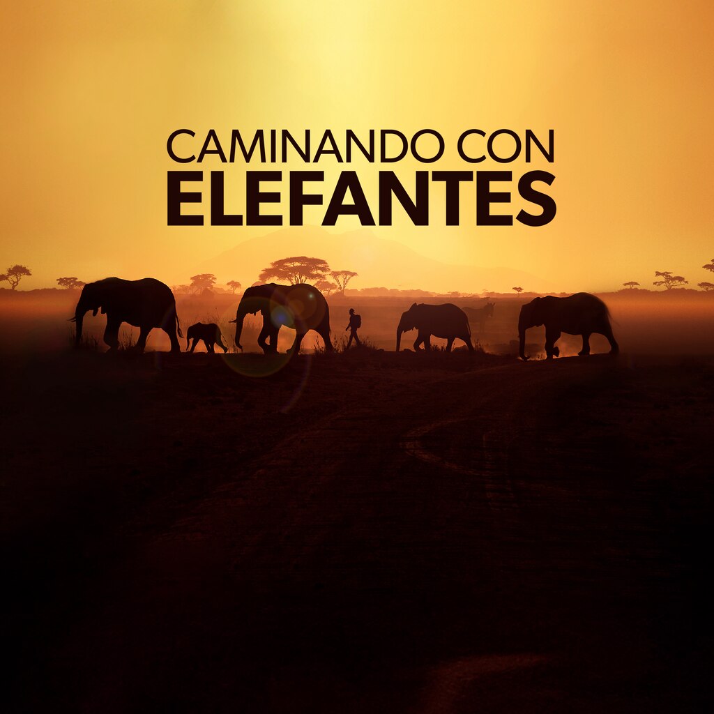 Caminando con elefantes