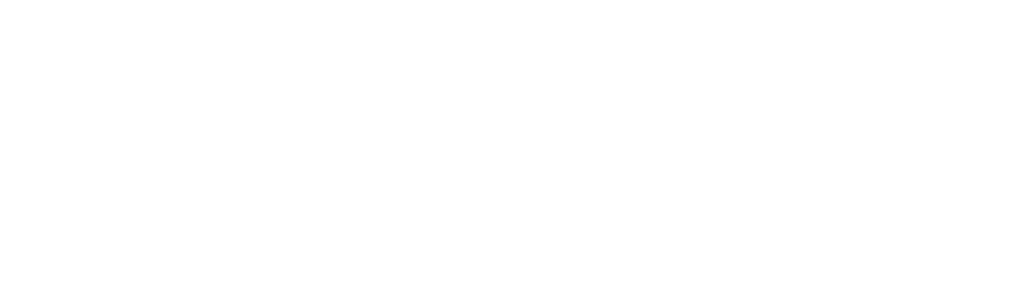 Walking With Elephants