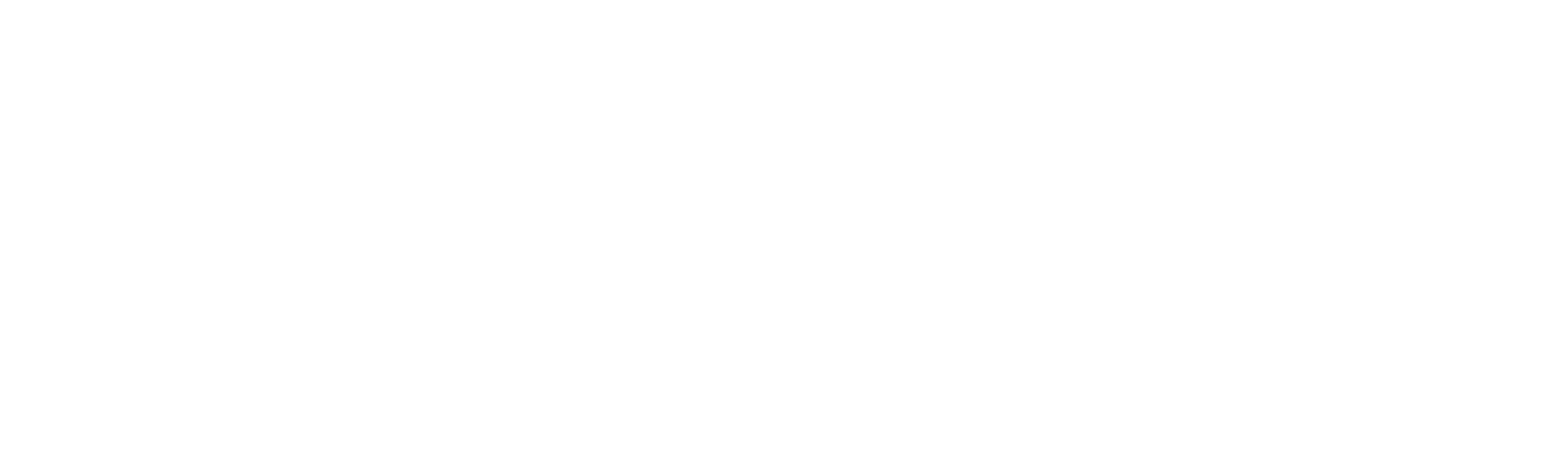 Na Trilha dos Elefantes