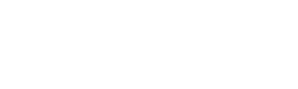 American Chopper