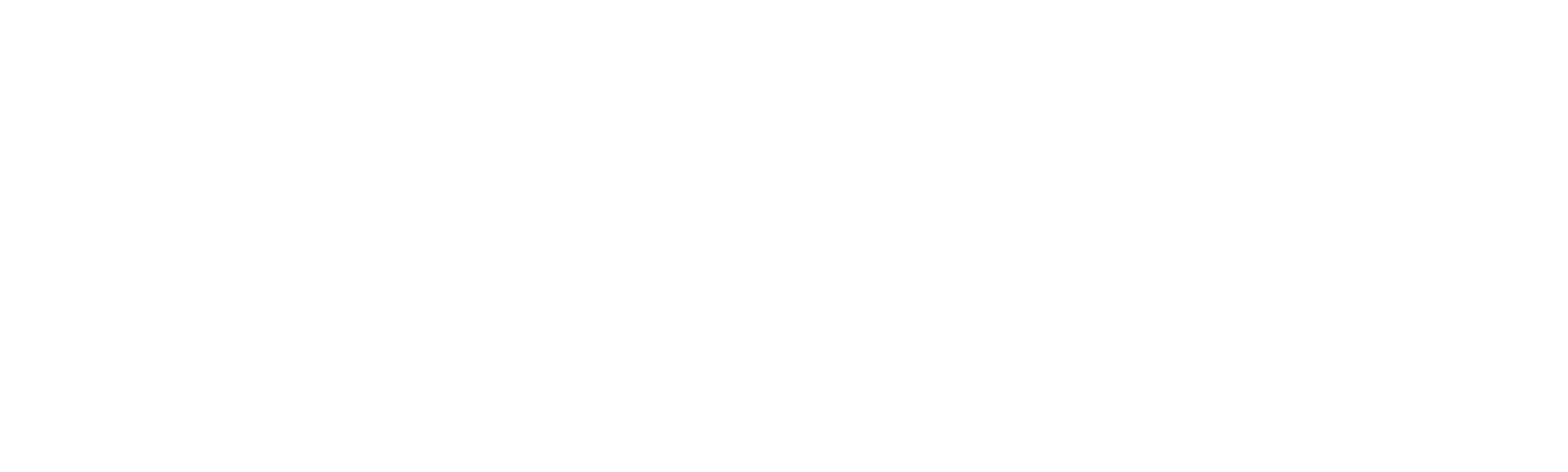 American Chopper