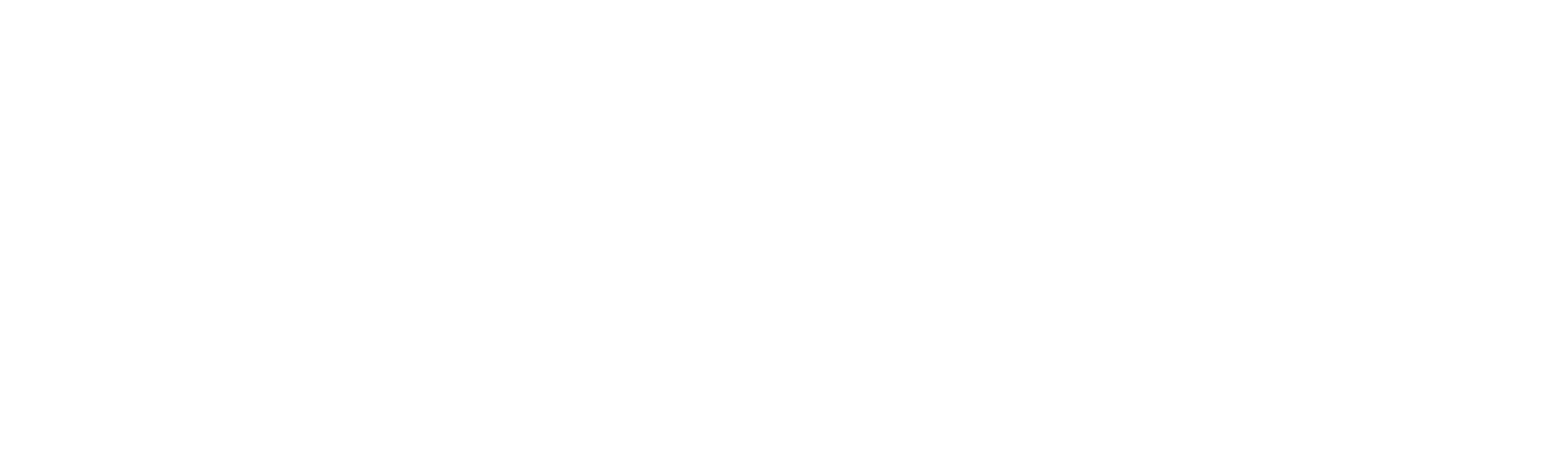 American Chopper