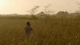 Everglades: A Fight For Glory
