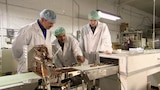 Food Innovations