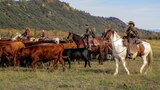 Call of the Cattleman