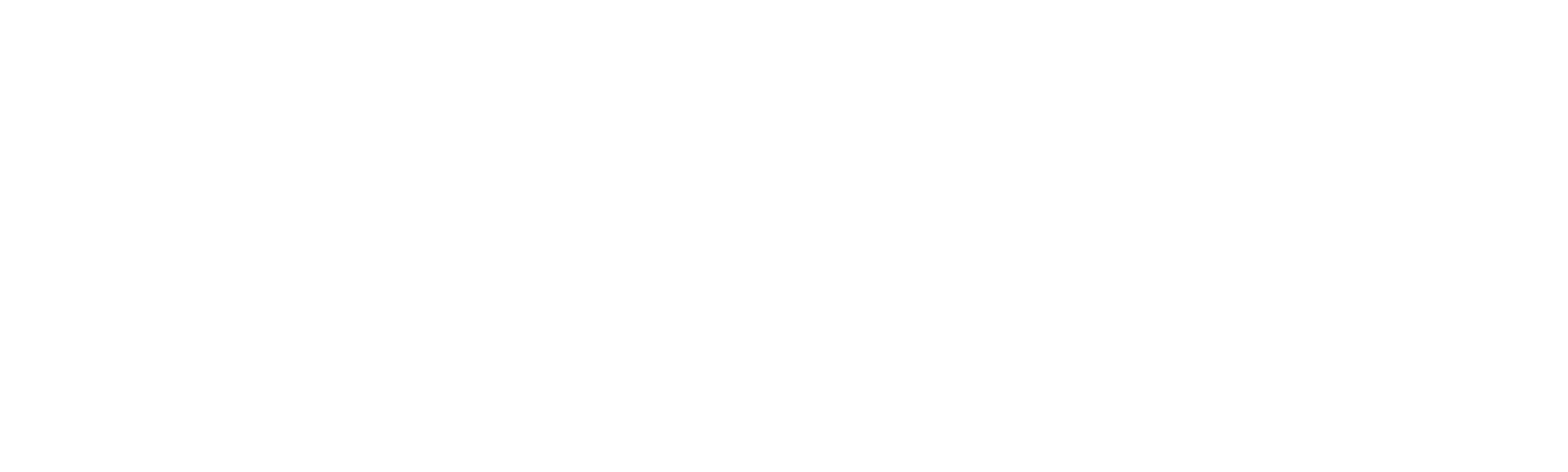 Dupla do Barulho