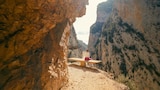 Mountain Trails