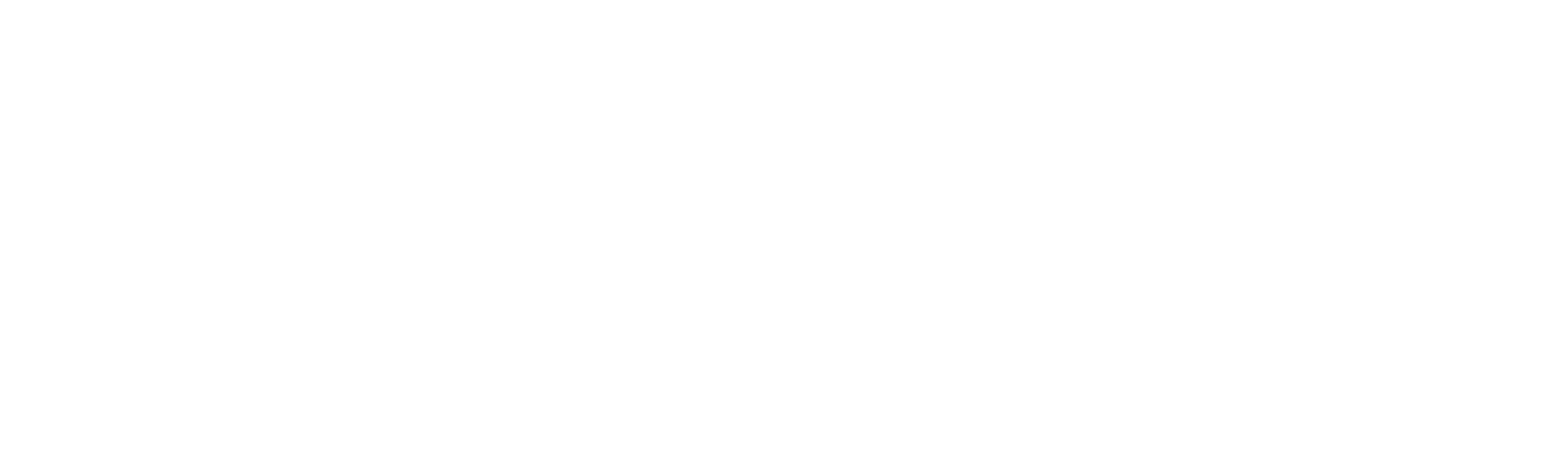 Clandestinos: el espíritu americano