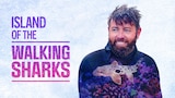 Island of the Walking Sharks