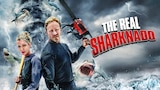 The Real Sharknado