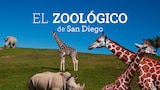 El zoológico de San Diego