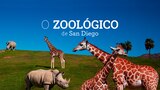 O Zoológico de San Diego