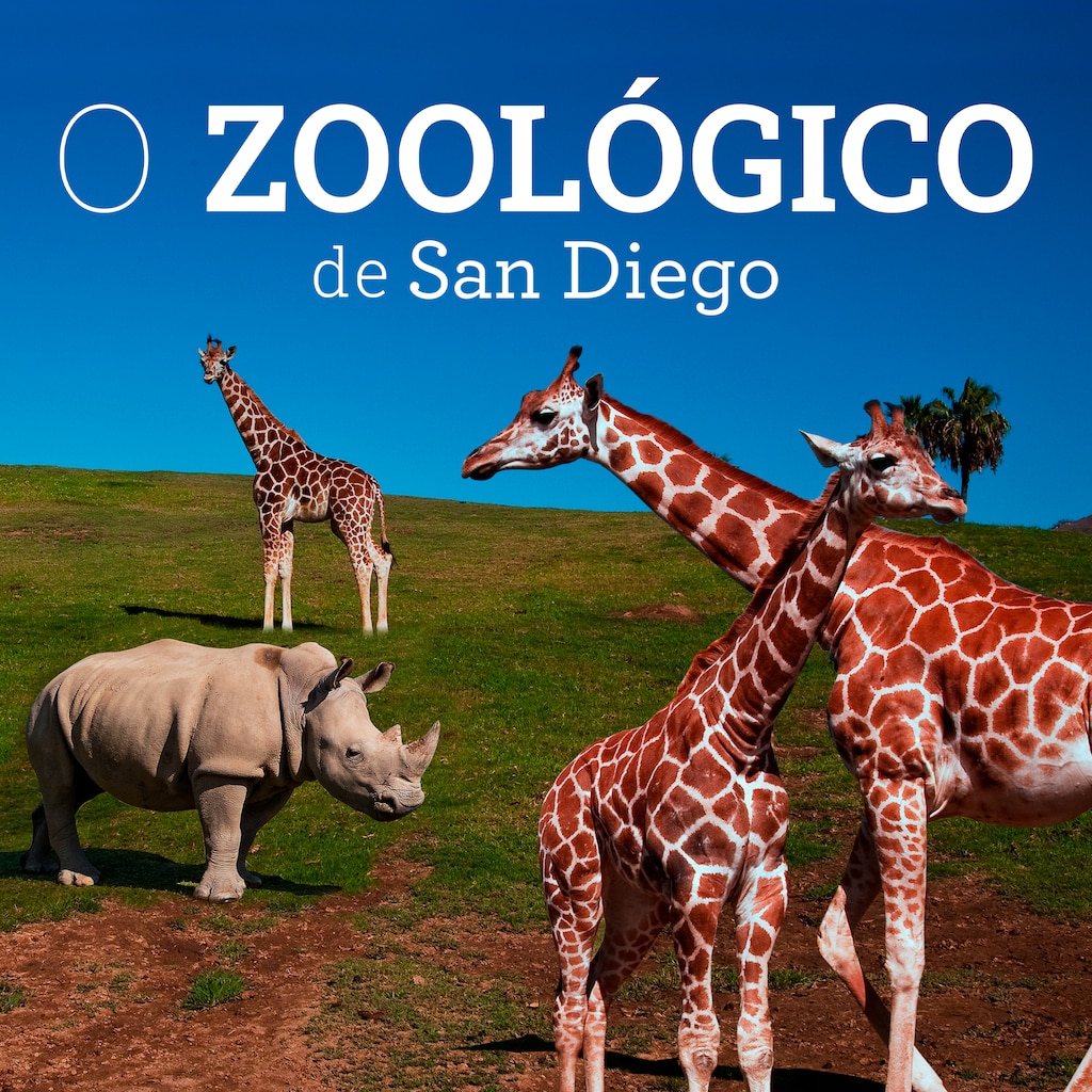 O Zoológico de San Diego
