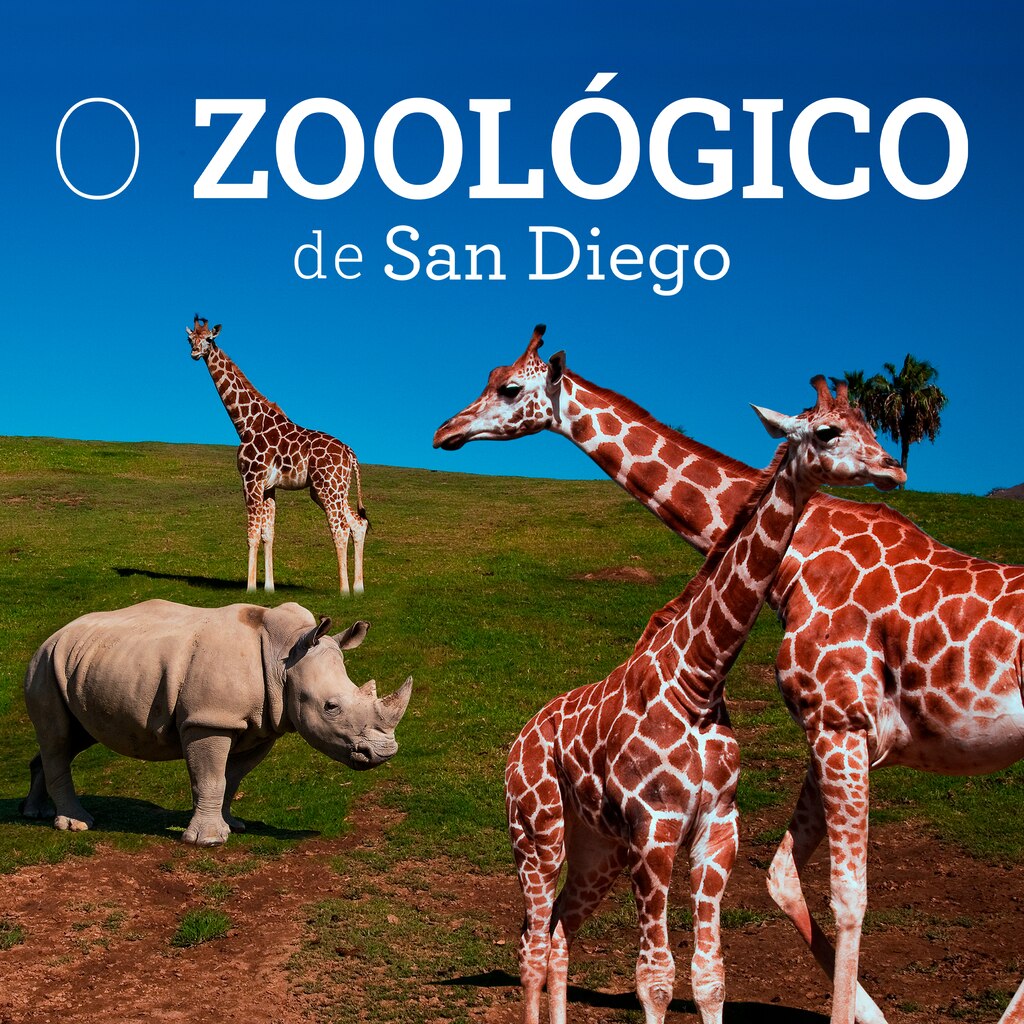 O Zoológico de San Diego