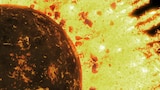 Planetas gemelos