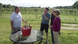 Cashing in on a Deal in Cass County, MI