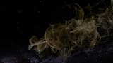 Electromagnetismo