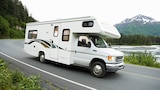 Filigree Glass, Fish Food, Motor Homes