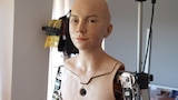 Artificial Intelligence: Its Promise...and Peril