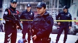 Global Lessons on Guns