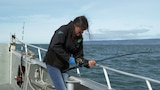 By Land or By Sea