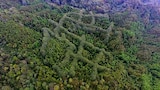 Las ciudades prohibidas de los mayas