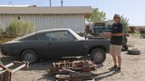 Roadkill Confessionals: Barracuda Fastback