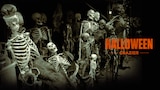 Halloween Crazier