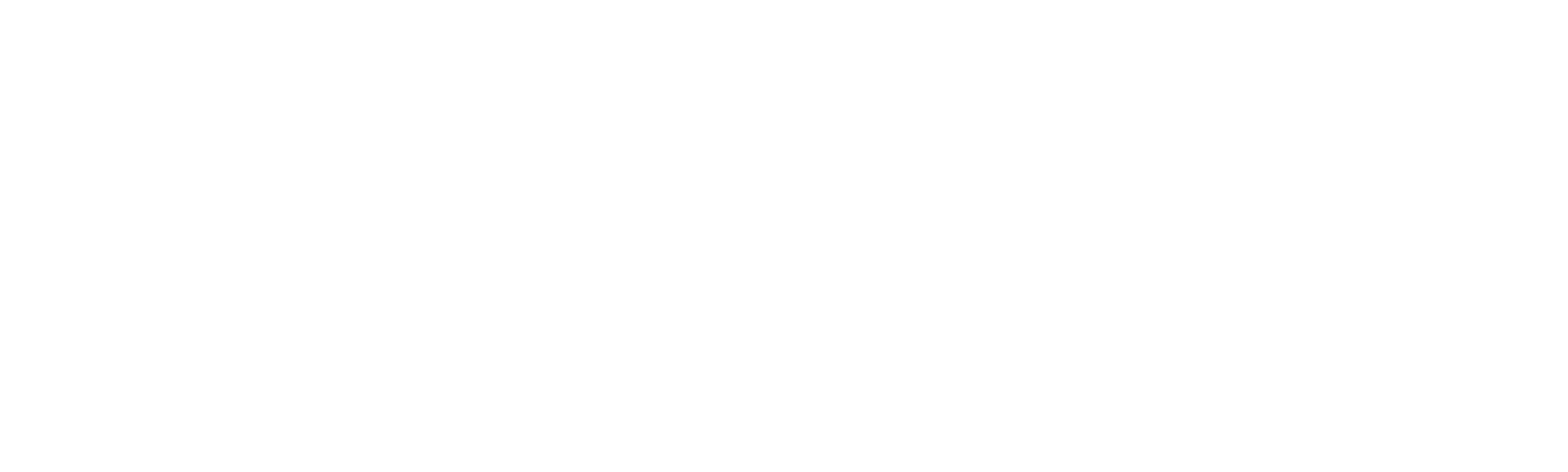 Fin