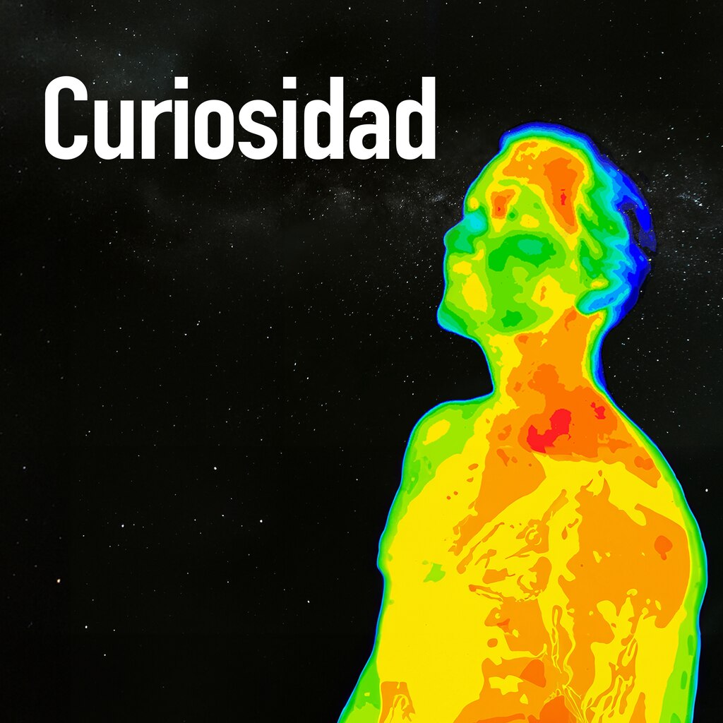 Curiosidad: ¿Qué hay debajo de nosotros?