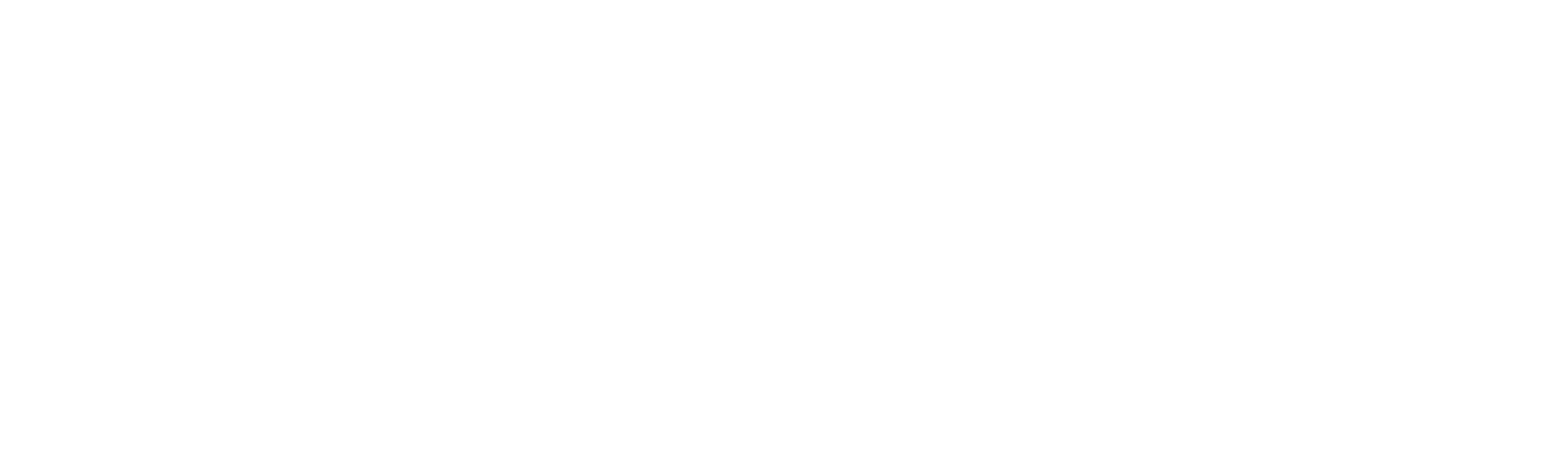 The Holzer Files