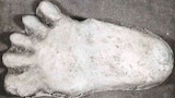 Utah Bigfoot Hunt and More
