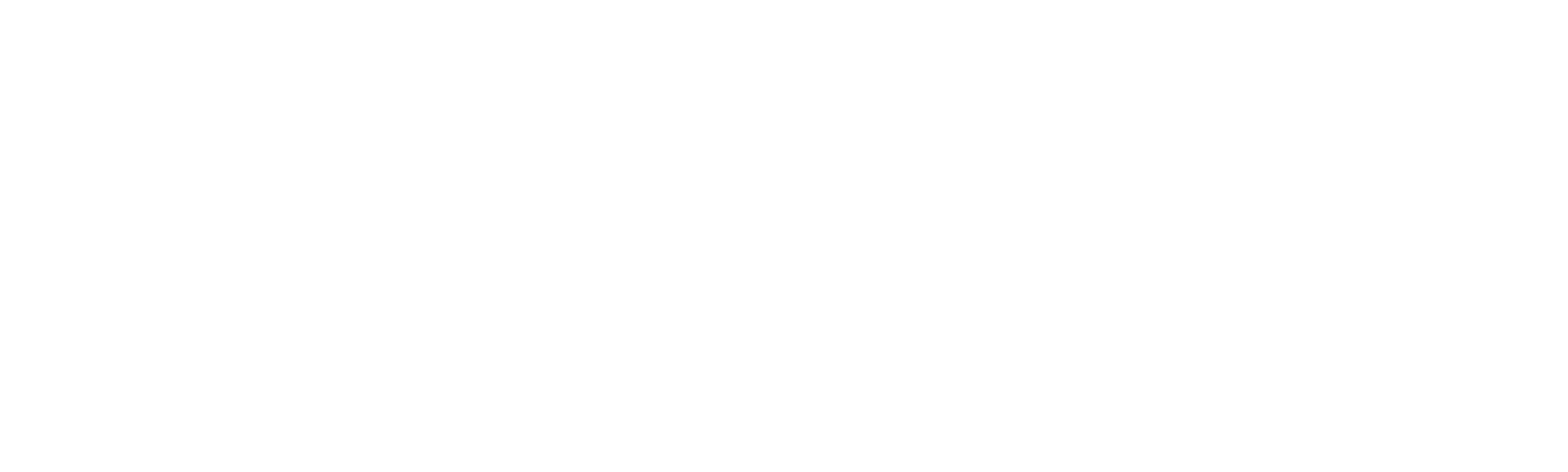 Kung Fu Wa