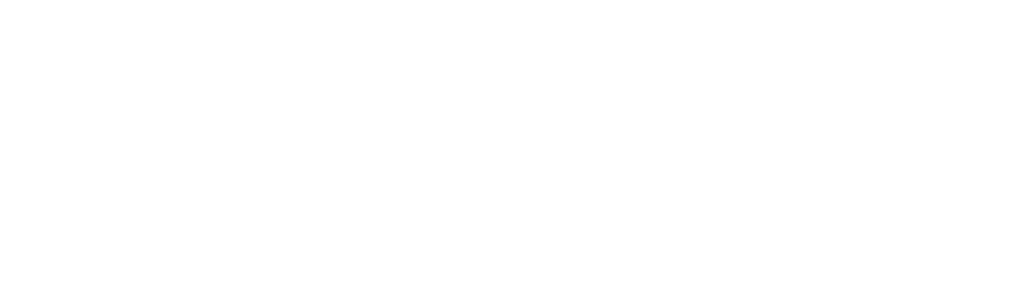Kung Fu Wa