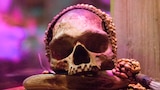 Ripley's Believe It or Not
