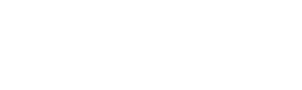 Renovation 911