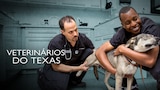Veterinários do Texas