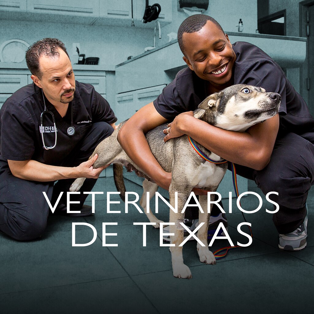 Veterinarios de Texas