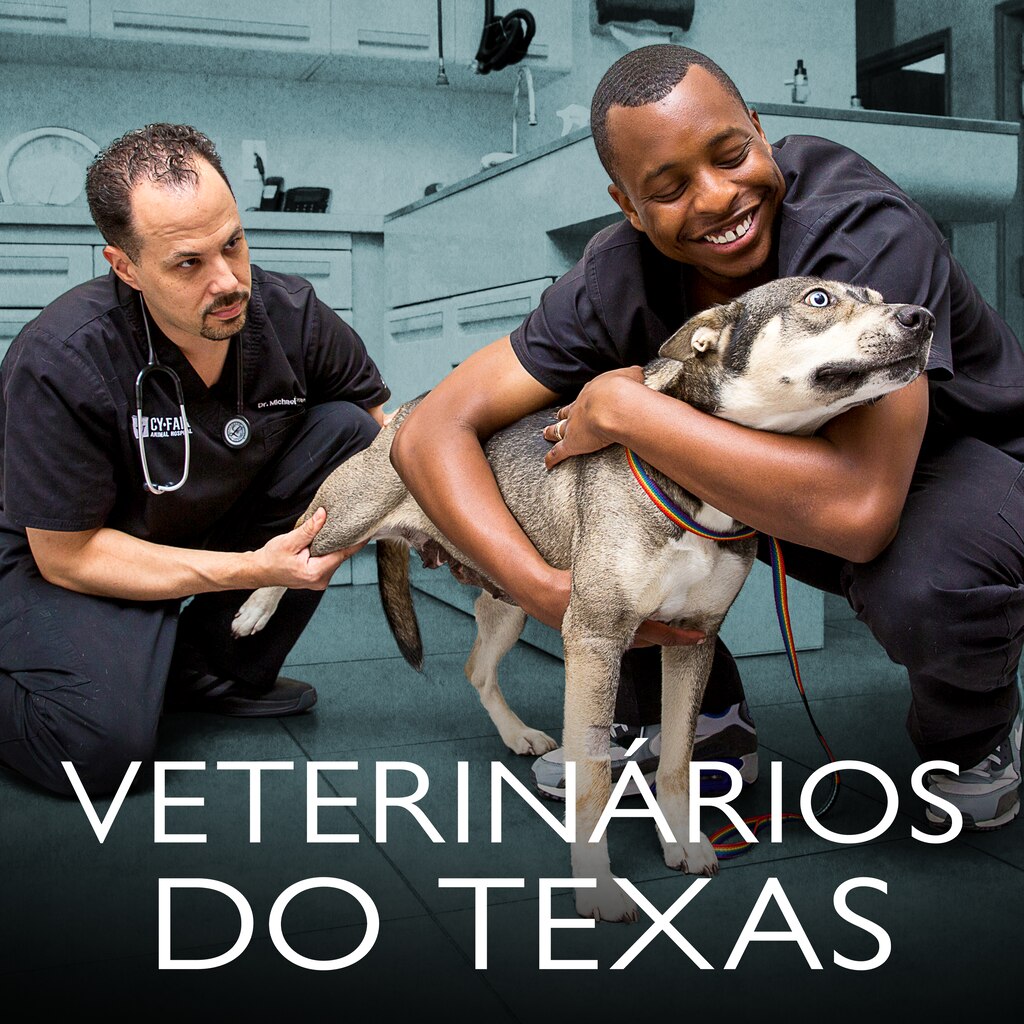 Veterinários do Texas