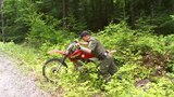 Catcher in the Wild