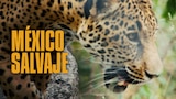 México salvaje