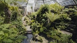 Morris Arboretum