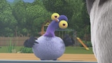 Flying the Coo-oop